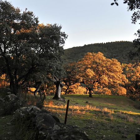 La Molinilla Apartamentos y Hammam Linares de la Sierra Bagian luar foto
